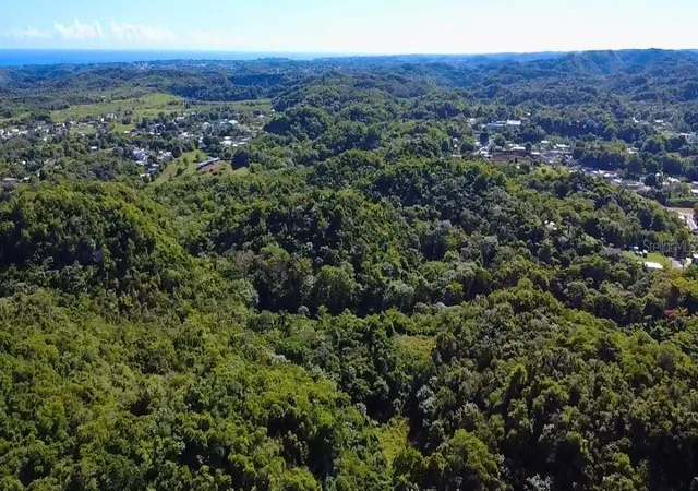Photo 1 of Land for sale at Carr 475 Kmhm 59 Bo Llanadas, Isabela, PR 00662 | MLS# PR9124416 | Listing updated on 2026-09-24