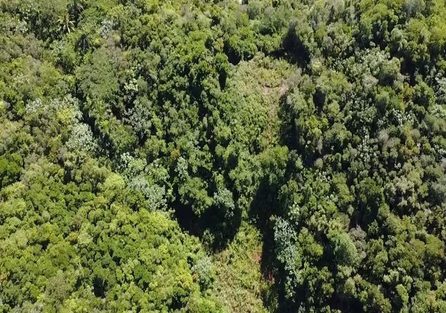 Photo 2 of Land for sale at Carr 475 Kmhm 59 Bo Llanadas, Isabela, PR 00662 | MLS# PR9124416 | Listing updated on 2026-09-24