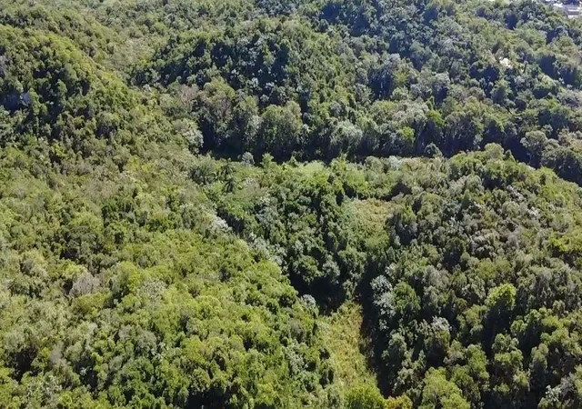 Photo 3 of Land for sale at Carr 475 Kmhm 59 Bo Llanadas, Isabela, PR 00662 | MLS# PR9124416 | Listing updated on 2026-09-24