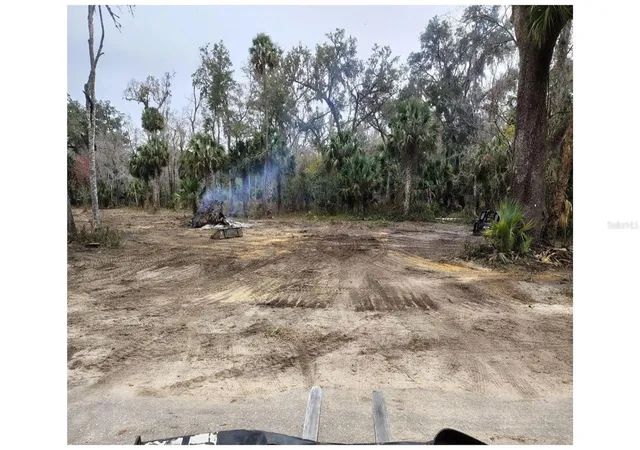 Photo 2 of Land for sale at Cr 423, Lake Panasoffkee, FL 33538 | MLS# O6444209 | Listing updated on 2026-10-07