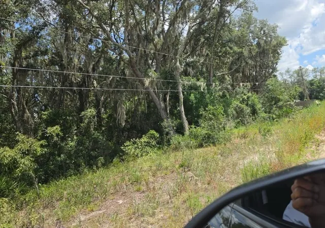 Land for sale at 416 N Walker Rd, AVON PARK, FL 33825 | MLS# S5158172