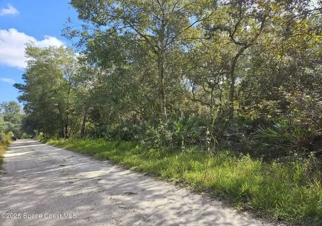 Photo 4 of Land for sale at 4600 Beacon Light Rd, Edgewater, FL 32141 | MLS# O6444237 | Listing updated on 2026-09-24