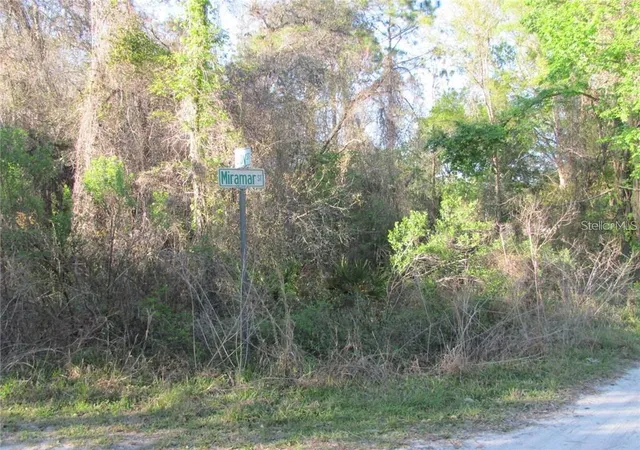 Photo 2 of Land for sale at 9917 Miramar St, New Port Richey, FL 34654 | MLS# TB8551560 | Listing updated on 2026-10-10
