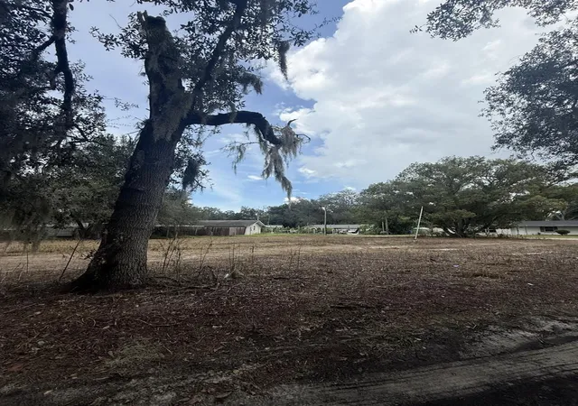 Photo 3 of Land for sale at 6042 Lewis Dr, Zephyrhills, FL 33542 | MLS# TB8551579 | Listing updated on 2026-09-30