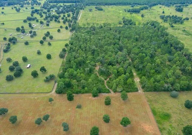 Photo 2 of Land for sale at 3155 NW 150th Avenue, Ocala, FL 34482 | MLS# OM732807 | Listing updated on 2026-09-24