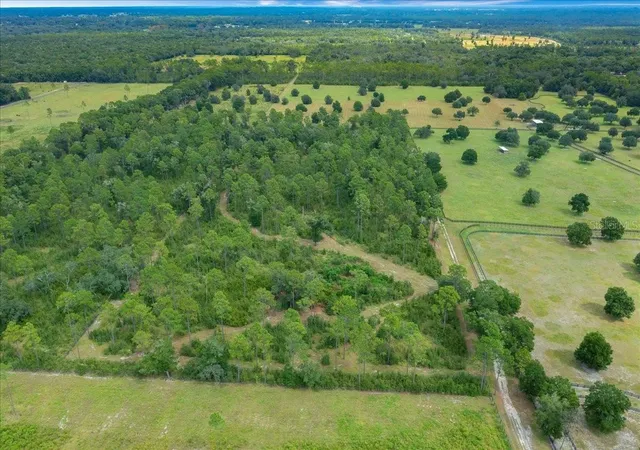 Photo 4 of Land for sale at 3155 NW 150th Avenue, Ocala, FL 34482 | MLS# OM732807 | Listing updated on 2026-09-24