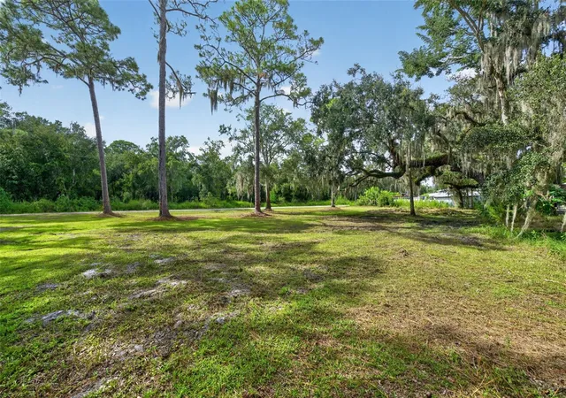 Photo 2 of Land for sale at Swamp Ln, Geneva, FL 32732 | MLS# O6444392 | Listing updated on 2026-09-24