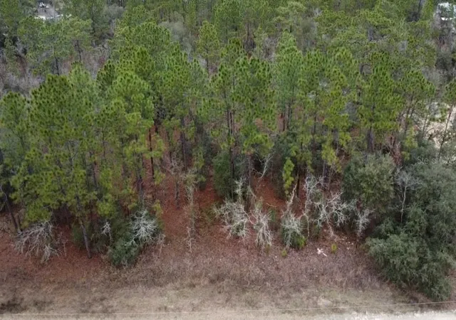 Land for sale at Tbd SW 91st Lane, DUNNELLON, FL 34432 | MLS# OM732818