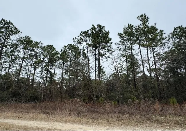 Photo 2 of Land for sale at Tbd SW 91st Lane, Dunnellon, FL 34432 | MLS# OM732818 | Listing updated on 2026-09-25