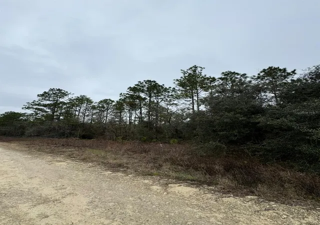 Photo 3 of Land for sale at Tbd Sw 91st Lane, Dunnellon, FL 34432 | MLS# OM732818 | Listing updated on 2026-09-25