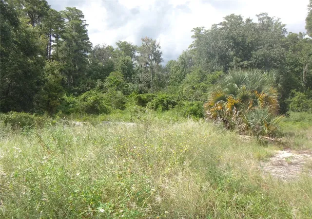 Land for sale at Tamarind Dr, LAKE WALES, FL 33898 | MLS# TB8551790