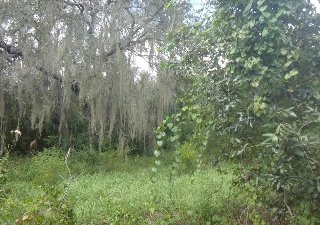 Photo 4 of Land for sale at Tamarind Dr, Lake Wales, FL 33898 | MLS# TB8551790 | Listing updated on 2026-09-25
