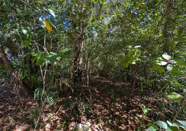 Photo 3 of Land for sale at Sw 191st Avenue, Dunnellon, FL 34432 | MLS# OM732822 | Listing updated on 2026-10-02