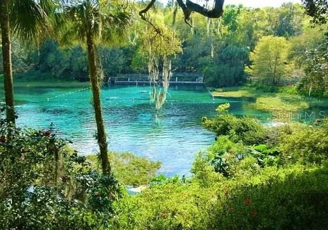 Photo 3 of Land for sale at SW 191st Avenue, Dunnellon, FL 34432 | MLS# OM732822 | Listing updated on 2026-10-02
