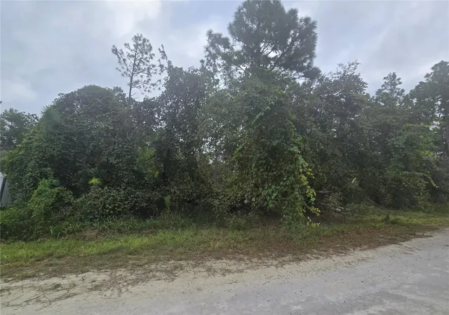 Photo 3 of Land for sale at English Sparrow Rd, Brooksville, FL 34614 | MLS# W7889788 | Listing updated on 2026-10-06