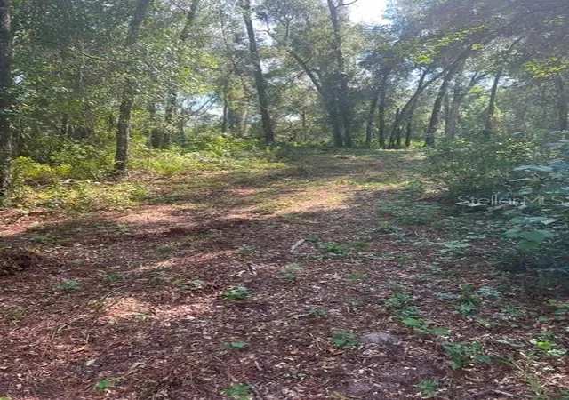 Land for sale at Elaine Dr, WEBSTER, FL 33597 | MLS# TB8551823