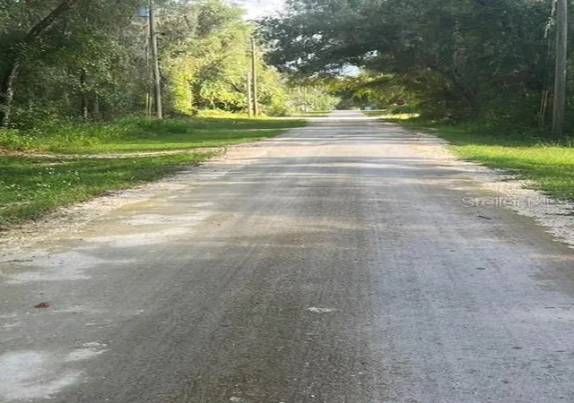 Photo 1 of Land for sale at Elaine Dr, Webster, FL 33597 | MLS# TB8551823 | Listing updated on 2026-09-30