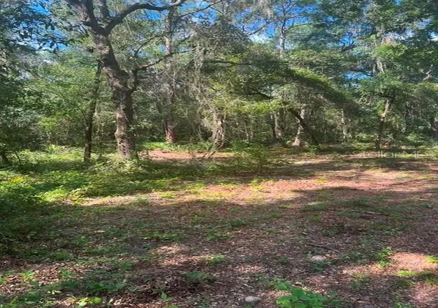 Photo 3 of Land for sale at Elaine Dr, Webster, FL 33597 | MLS# TB8551823 | Listing updated on 2026-09-30