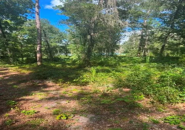 Photo 4 of Land for sale at Elaine Dr, Webster, FL 33597 | MLS# TB8551823 | Listing updated on 2026-09-30