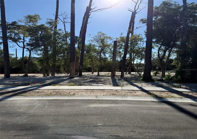 Photo 1 of Land for sale at 1302 Almaria Ct, Palm Harbor, FL 34683 | MLS# O6444512 | Listing updated on 2026-10-02
