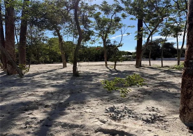 Photo 3 of Land for sale at 1302 Almaria Ct, Palm Harbor, FL 34683 | MLS# O6444512 | Listing updated on 2026-10-02