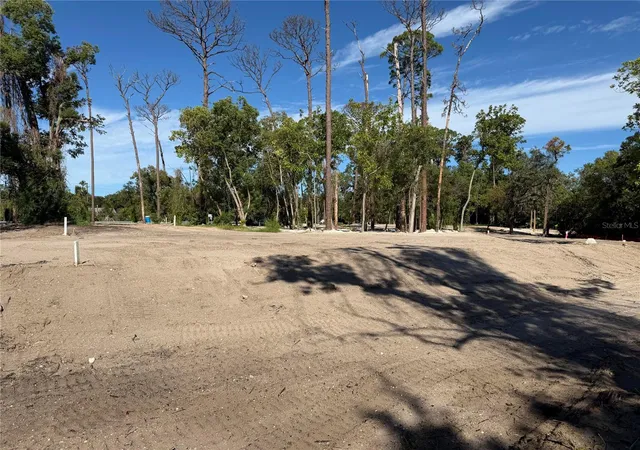 Photo 4 of Land for sale at 1302 Almaria Ct, Palm Harbor, FL 34683 | MLS# O6444512 | Listing updated on 2026-10-02