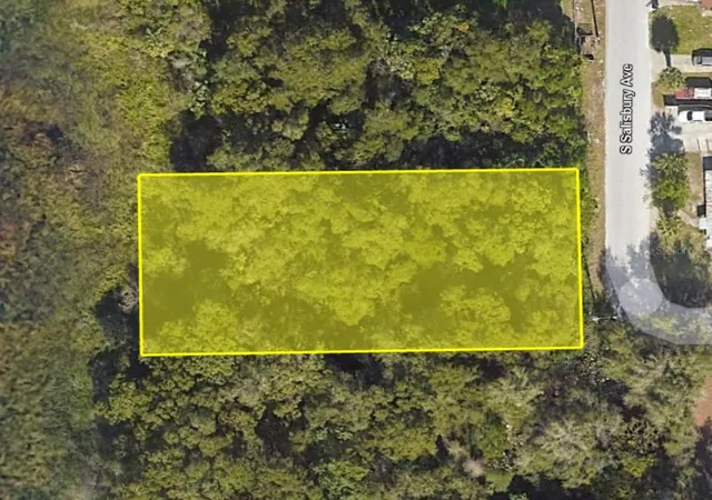 Land for sale at 916 S Salisbury Ave, DELAND, FL 32720 | MLS# G5118228