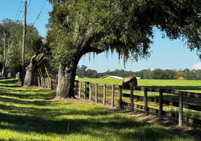 Photo 1 of Land for sale at NW 100th Street, Ocala, FL 34475 | MLS# OM732840 | Listing updated on 2026-10-01