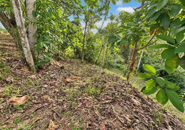 Photo 4 of Single family home for sale at 363 Km 21 Cll Miguel Lugo Madera, Sabana Grande, PR 00637 | MLS# PR9124450 | Listing updated on 2026-10-07
