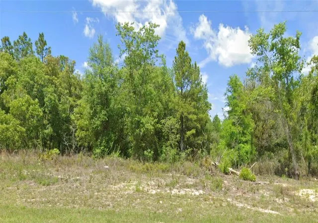 Photo 1 of Land for sale at 6603 N Bedstrow Blvd, Dunnellon, FL 34434 | MLS# O6444604 | Listing updated on 2026-09-25
