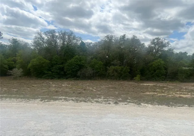 Land for sale at Cleft Rock St, WEBSTER, FL 33597 | MLS# G5118243