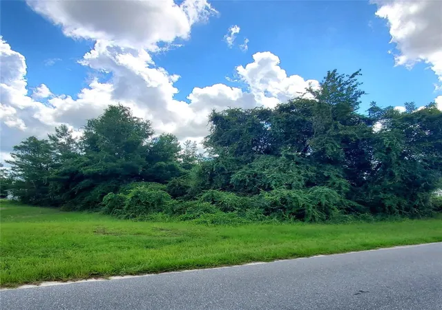Land for sale at 42nd Avenue Rd, OCALA, FL 34473 | MLS# OM732864