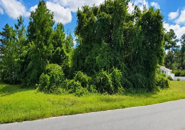 Photo 2 of Land for sale at 42nd Avenue Rd, Ocala, FL 34473 | MLS# OM732864 | Listing updated on 2026-09-25