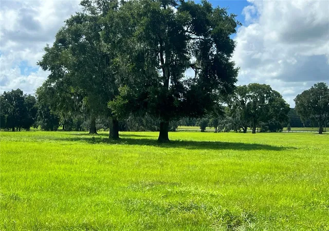 Photo 1 of Land for sale at Tbd NW 464b Hwy, Morriston, FL 32668 | MLS# OM732868 | Listing updated on 2026-10-02