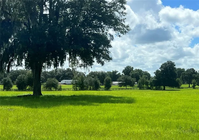 Photo 2 of Land for sale at Tbd NW 464b Hwy, Morriston, FL 32668 | MLS# OM732868 | Listing updated on 2026-10-02