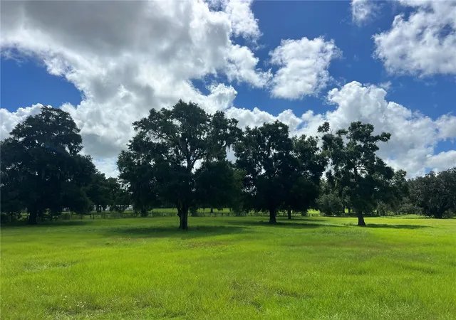 Photo 3 of Land for sale at Tbd NW 464b Hwy, Morriston, FL 32668 | MLS# OM732868 | Listing updated on 2026-10-02