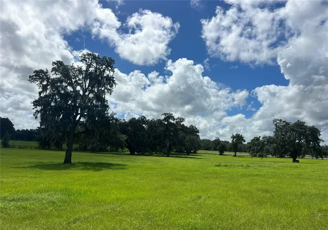 Photo 4 of Land for sale at Tbd NW 464b Hwy, Morriston, FL 32668 | MLS# OM732868 | Listing updated on 2026-10-02