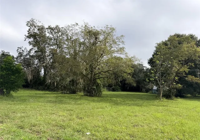 Land for sale at 6690 NW 100th Street, CHIEFLAND, FL 32626 | MLS# GC543782