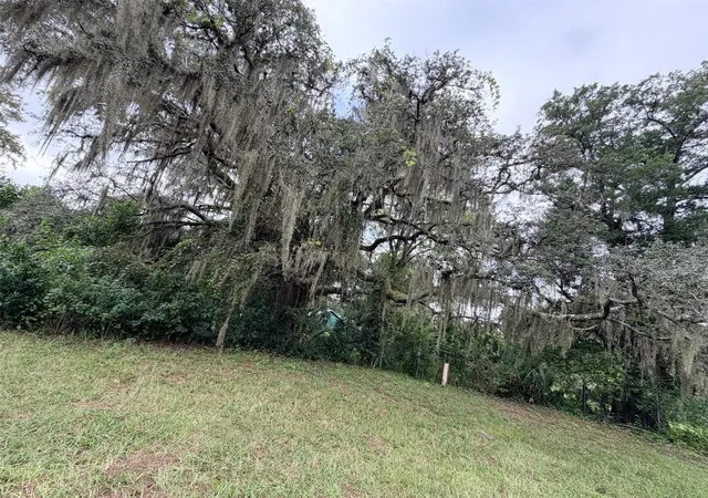 Photo 3 of Land for sale at 6690 Nw 100th Street, Chiefland, FL 32626 | MLS# GC543782 | Listing updated on 2026-09-29