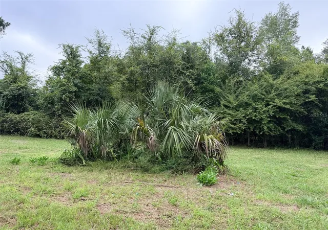 Photo 3 of Land for sale at 6690 NW 100th Street, Chiefland, FL 32626 | MLS# GC543782 | Listing updated on 2026-09-29
