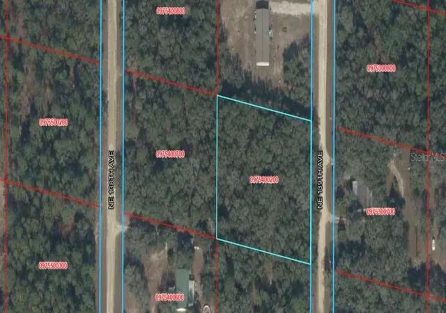Land for sale at NE 139th Street, WILLISTON, FL 32696 | MLS# A4707382