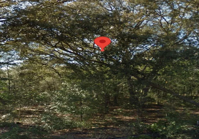 Photo 3 of Land for sale at NE 139th Street, Williston, FL 32696 | MLS# A4707382 | Listing updated on 2026-09-25