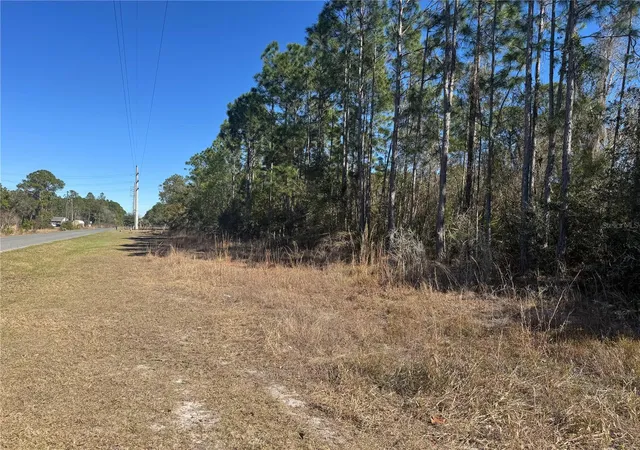 Land for sale at Grace Ave, DELAND, FL 32720 | MLS# V4951507