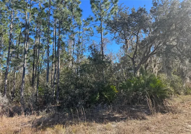 Photo 2 of Land for sale at Grace Ave, Deland, FL 32720 | MLS# V4951507 | Listing updated on 2026-09-26