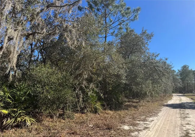 Photo 3 of Land for sale at Grace Ave, Deland, FL 32720 | MLS# V4951507 | Listing updated on 2026-09-26