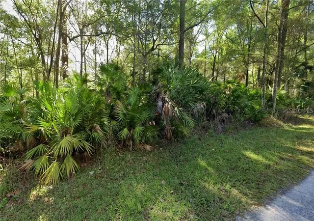 Photo 2 of Land for sale at 8395 N Ira Martin Ave, Crystal River, FL 34428 | MLS# CC858180 | Listing updated on 2026-10-08