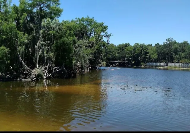 Land for sale at 1041 Lemon Blf Rd, OSTEEN, FL 32764 | MLS# O6444808