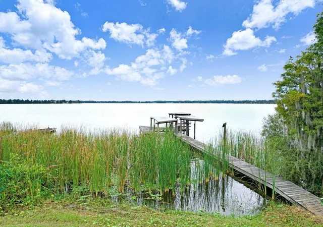 Photo 3 of Single family home for sale at 11337 Knights Griffin Rd, Thonotosassa, FL 33592 | MLS# TB8552181 | Listing updated on 2026-10-07