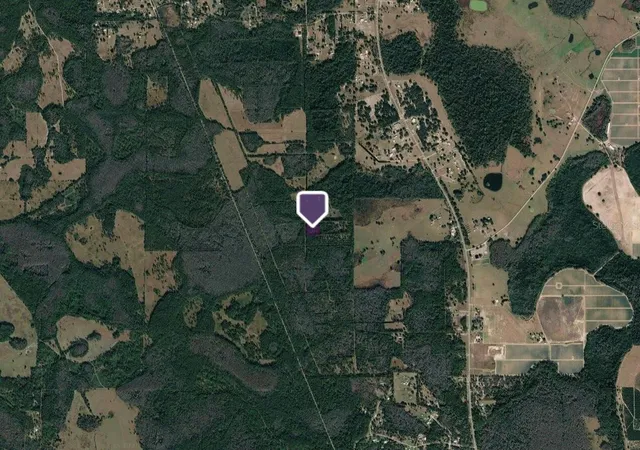 Photo 3 of Land for sale at Pas Ln, Polk City, FL 33868 | MLS# GC543795 | Listing updated on 2026-09-26