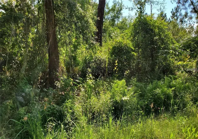 Photo 1 of Land for sale at 103 Bowfin Dr, Satsuma, FL 32189 | MLS# TB8552226 | Listing updated on 2026-10-04